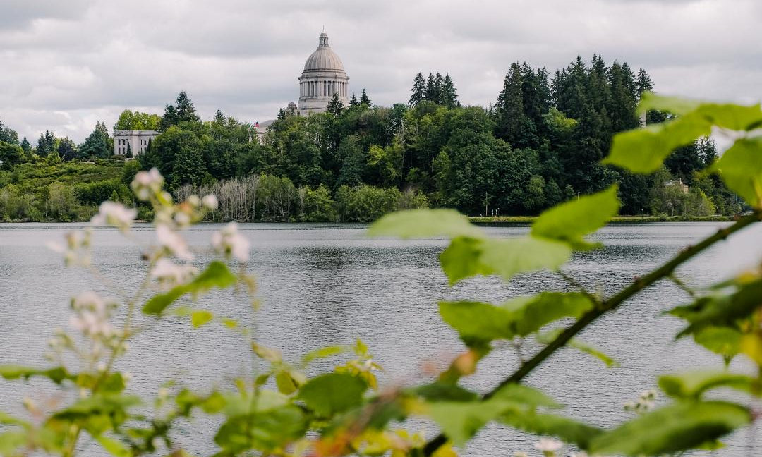 Things To Do In Olympia This Spring!