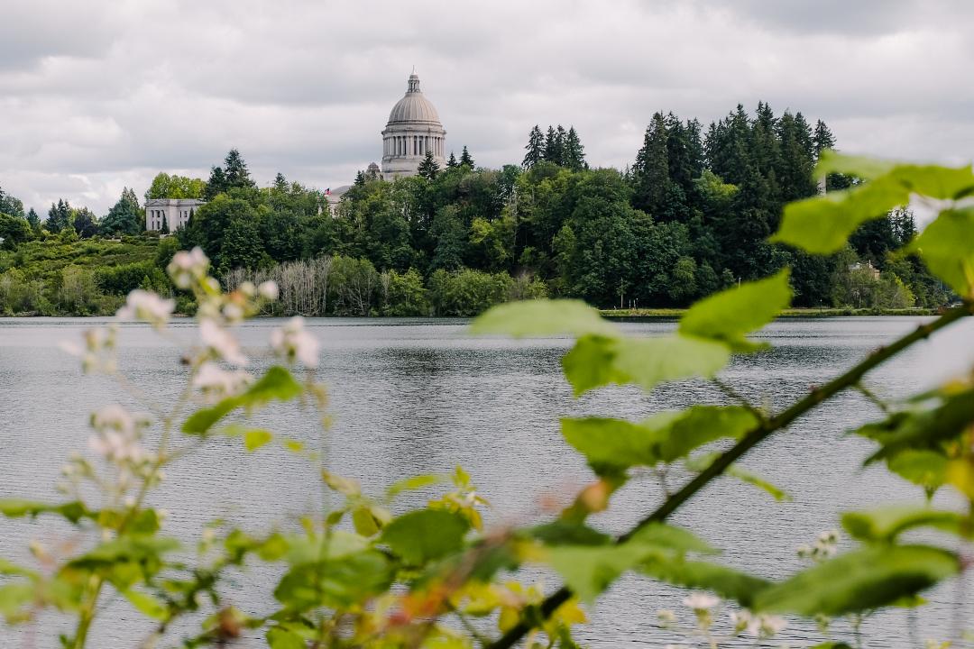 Things To Do In Olympia This Spring!